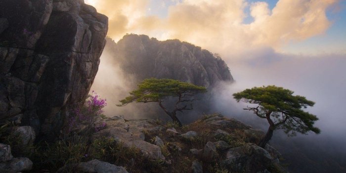 1280x720 South, Mist, Landscape, Mountains, Mobile Wallpapers, Nature, Free