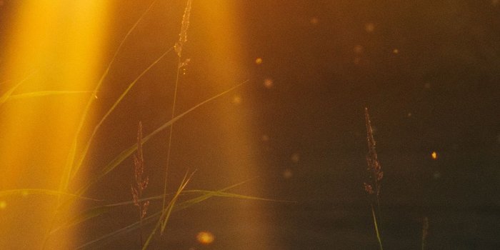 1242x2208 iPhonepapers.com | iPhone 8 wallpaper | mw71-god-light-loves-you