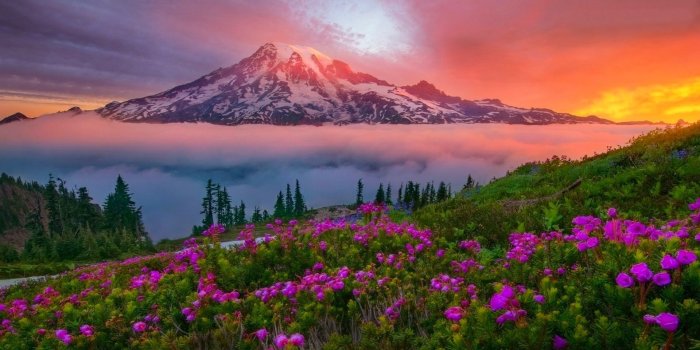 1920x1080 Mountain Landscape Spring Sunset Snowy Mountain Meadow Flowers Mount