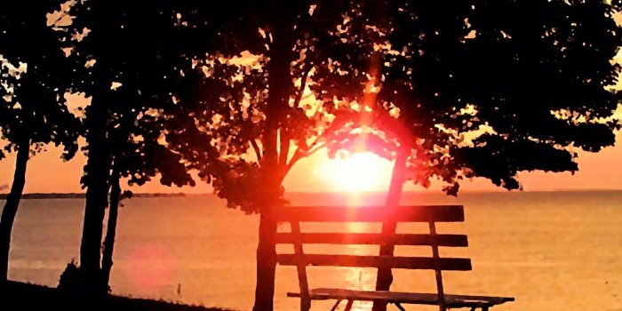 1274x952 Sunsets wallpapers Page 103: APPLE FIELD SUNSET Enchanting Nature