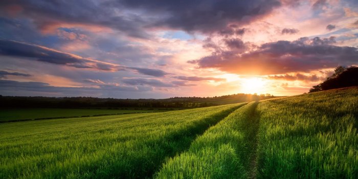 1920x1200 Wallpaper Sky, clouds, sunset, spring, fields 1920x1200 HD Picture