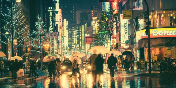 2048x1362 A colorful rainy night in Tokyo : pics