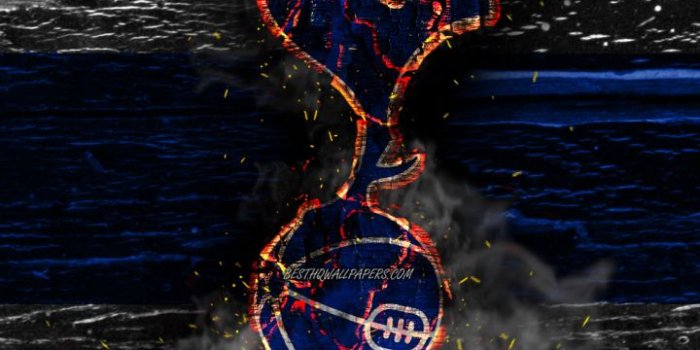 720x1280 Download Logo Soccer Tottenham Hotspur