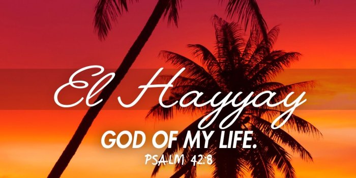 1242x2208 God's Names iPhone 7 Plus Wallpaper