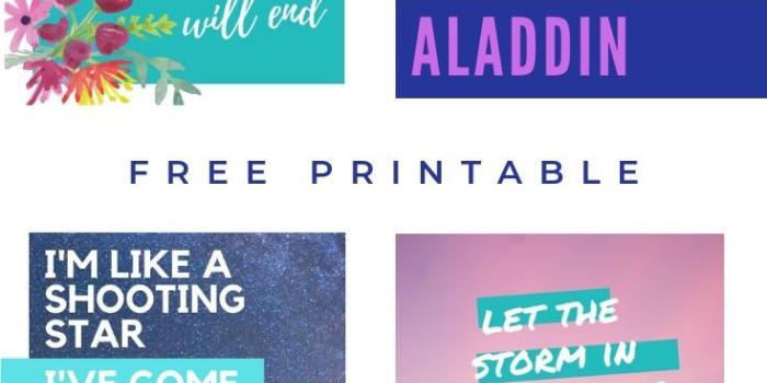 735x1102 Free Printable Images and Wallpaper: Quotes from Disney's Aladdin