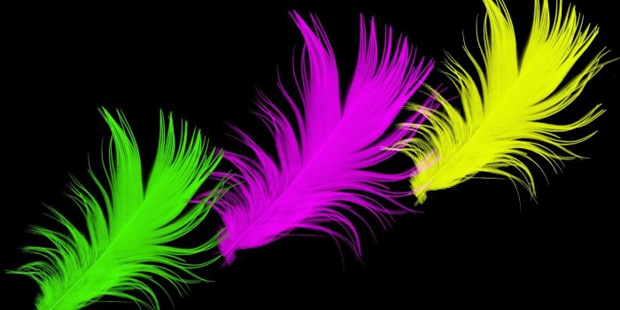 1920x1080 Bright Color Wallpaper Full HD - WallpaperAsk