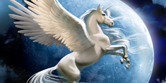 1920x1080 Showcase :: Winged Knights: Penetration