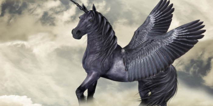 1920x1080 Showcase :: Winged Knights: Penetration