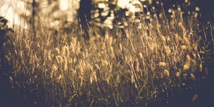 3000x2000 Abstract, Bright, Color - Free Stock Photo, Image, Wallpaper, HD Picture