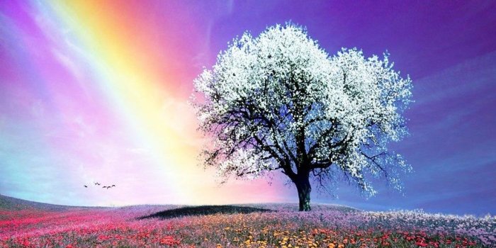 1024x768 Rainbow Bright Colors Wallpapers (18591236) Fanpop Desktop Background