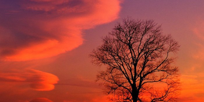 1600x1200 Nature: Crimson Twilight Kentucky, picture nr. 17192