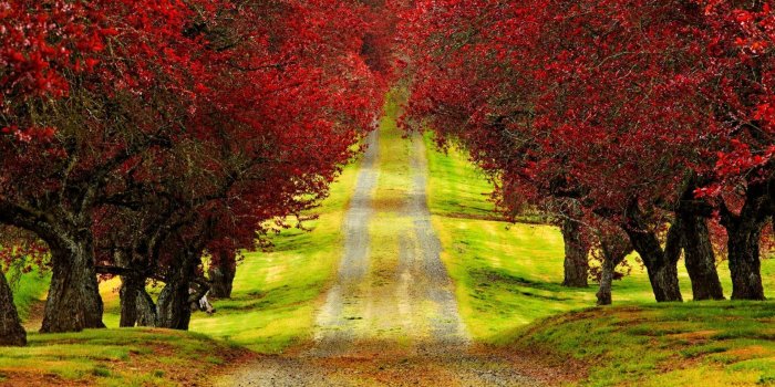 1920x1200 New Hd Wallpaper Download Group With 31 Items - Hd Wallpapers Full