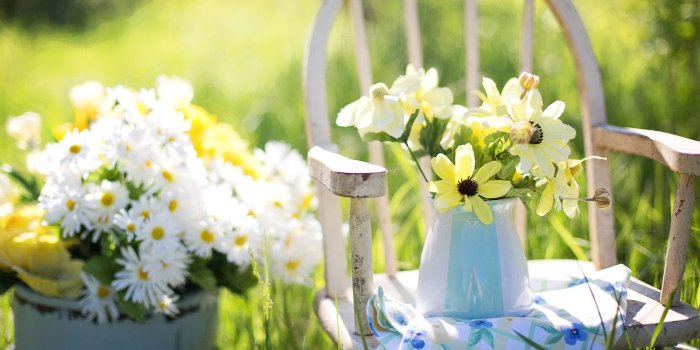 1920x1200 65+ Summer Flower Wallpapers on WallpaperPlay