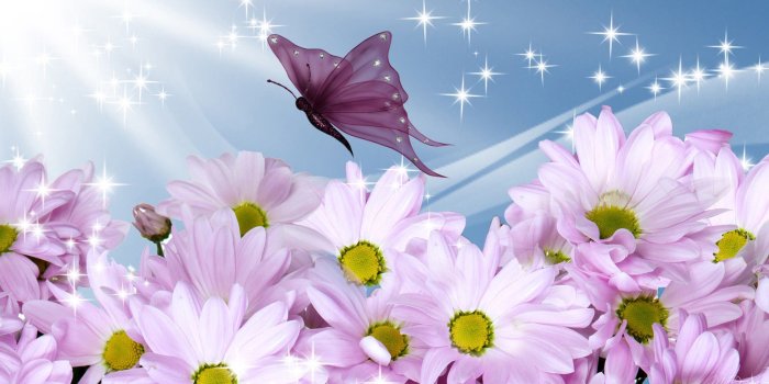 1920x1080 Summer Flowers Wallpapers