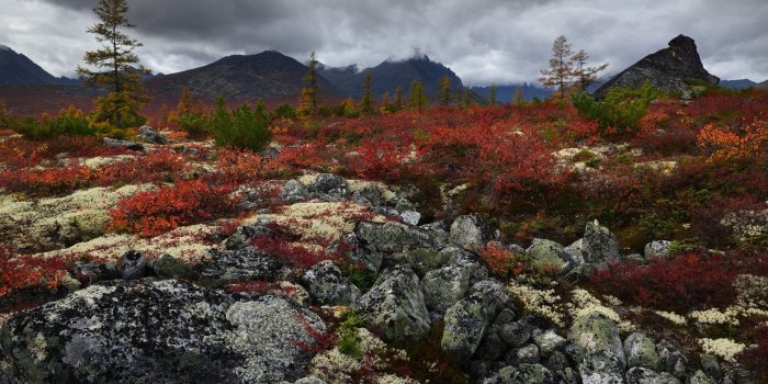 1332x850 Wallpaper autumn, the sky, leaves, mountains, stones, hills, ate