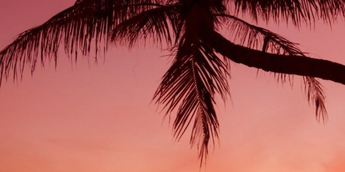 768x1280 Crimson Sunset - Landscape iPhone wallpapers @mobile9 | #nature