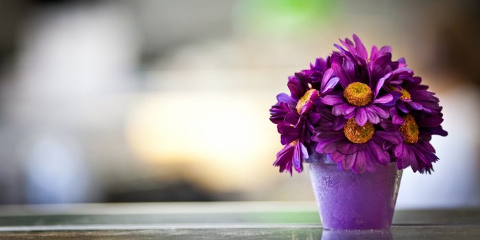 1920x1080 Wallpapers Summer Flowers (75+ background pictures)