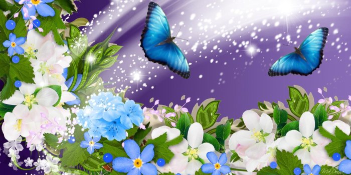 1920x1080 Summer Flower Collage HD desktop wallpaper : Widescreen : High
