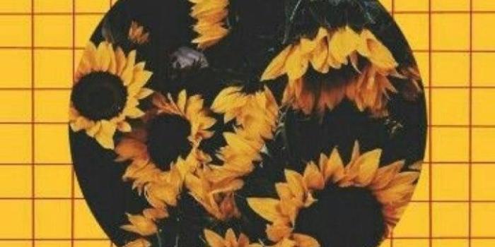 720x1280 pinterest // fashionista1152 !-/• | wallpapers. in 2019 | Sunflower