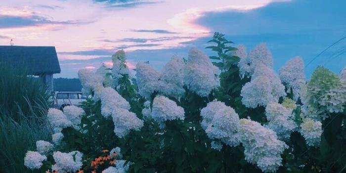 750x1334 Pinterest- voguesmoothie Instagram- giannasegura | artsy in 2019