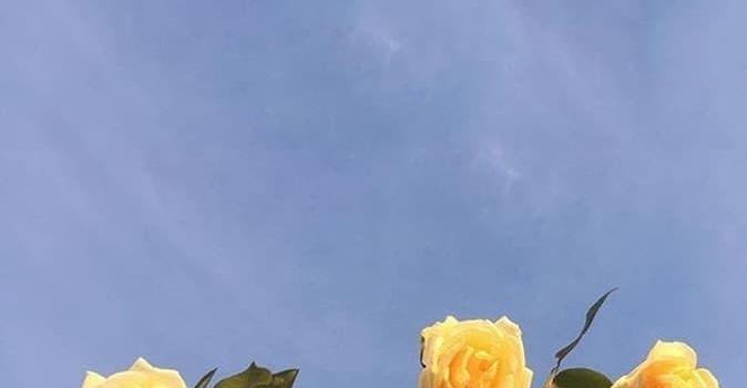 674x1280 How To Make Money (Updated for 2019 | •|ωαℓℓραρєяѕ