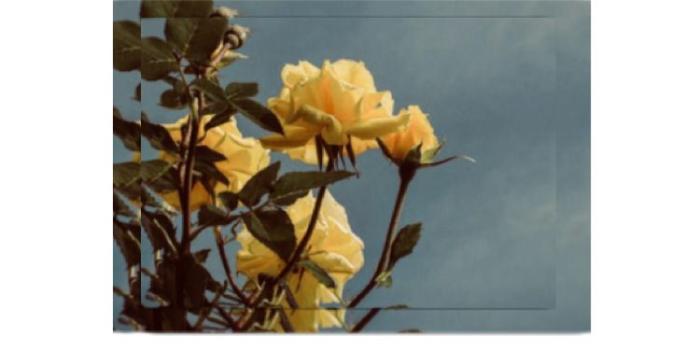 750x1334 İphone Wallpaper (for more) > Pinterest ; esina1 | Aesthetic