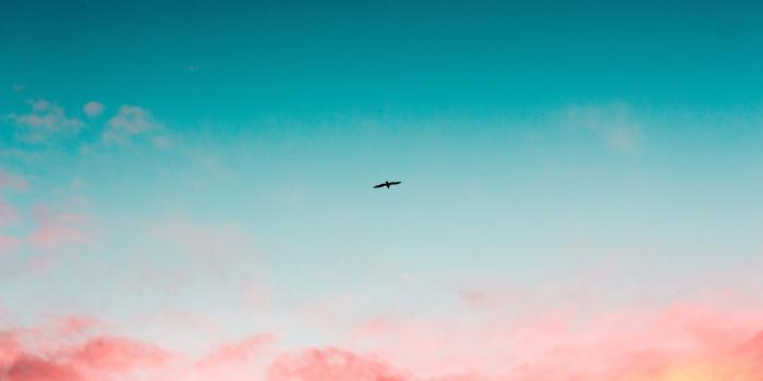 2048x1152 2048x1152 Beautiful Sky Clouds Bird Flying 4k 2048x1152 Resolution