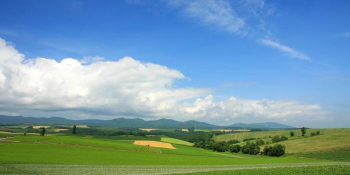 1600x1000 Natural HD Wallpaper: Beautiful sky HD wallpapers | Natural sky real