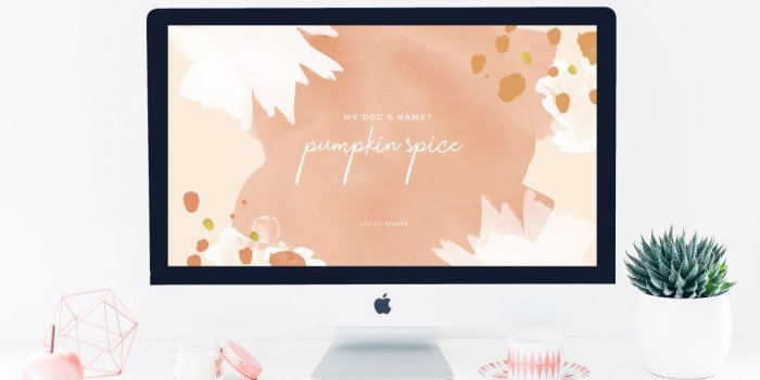 1100x732 Pretty Fluffy