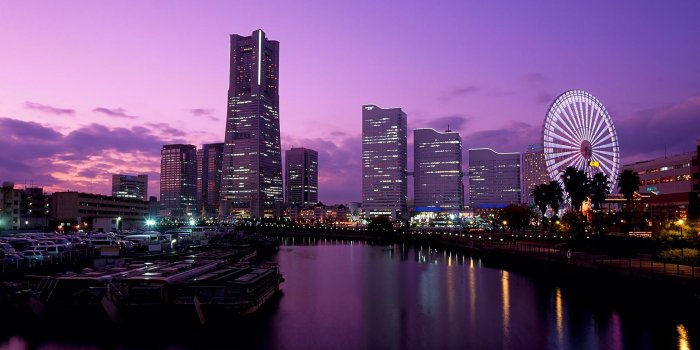 1920x1080 Tokyo Cityscape Nature Wallpaper Background #6937397