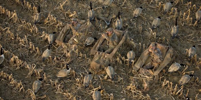 1920x1080 Realtree Duck Camo Wallpapers - The Wallpaper