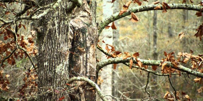 1920x1080 Realtree Wallpapers - Top Free Realtree Backgrounds - WallpaperAccess