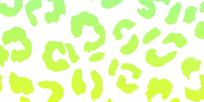 1080x1920 Free Smart Phone wallpapers 1| Instagram story background download