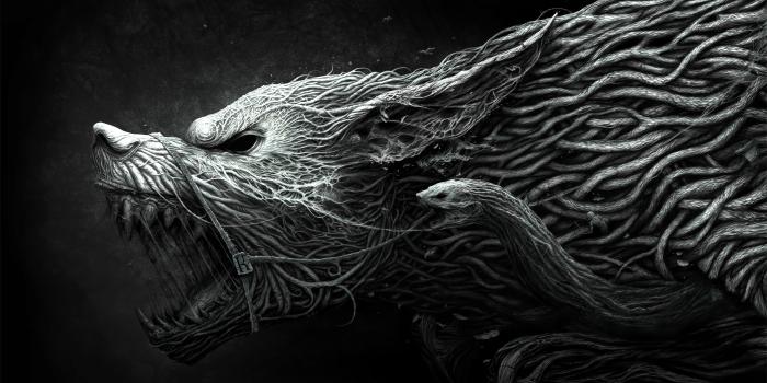 2560x1600 Photo for Amazing 2902-LV 2018