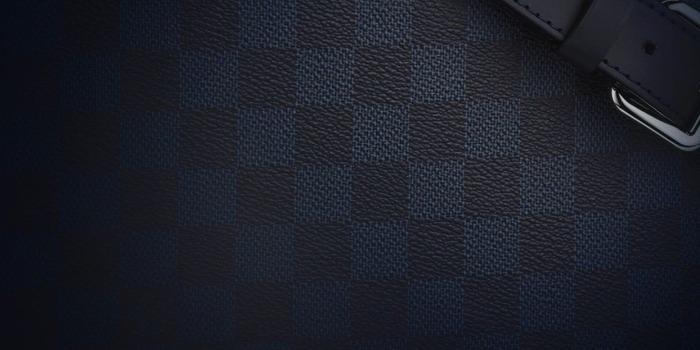 1244x700 LOUIS VUITTON - SEE LIFE IN DAMIER COBALT