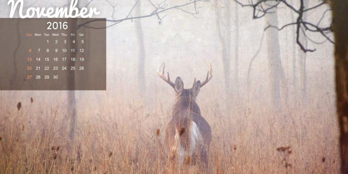 2048x1536 Realtree wallpaper ·① Download free stunning HD backgrounds for