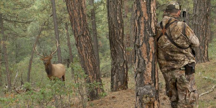 1920x1080 Realtree Deer Wallpapers (66+ background pictures)