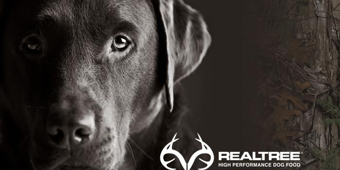 4601x2541 Realtree Wallpaper Background Download - Realtree Performance Dog