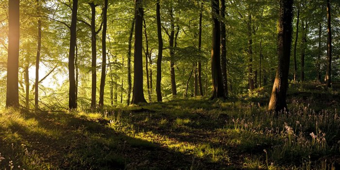 3840x1200 Panoramic Wallpapers - Windows Help