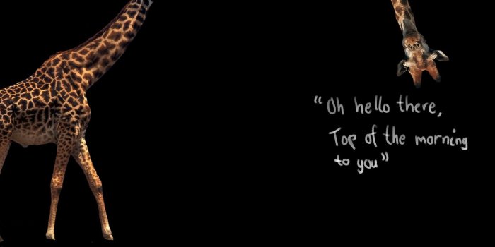 2800x1024 Double wallpaper dual screen Gallery