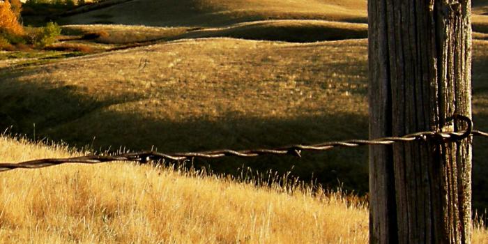 1440x2560 Realtree Wallpaper (44+ images) on Genchi.info