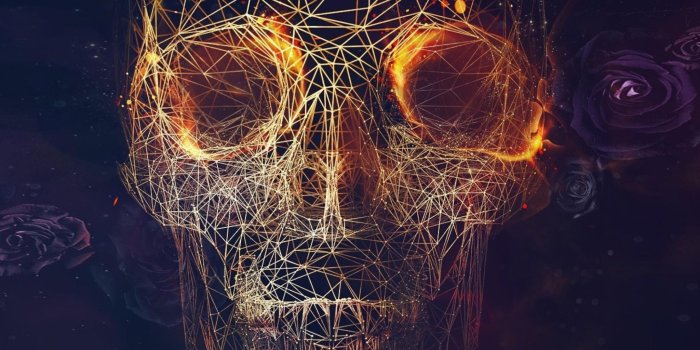 2048x2048 100+ Skull Wallpaper HD Wallpapers – Epic HD Wallpaper