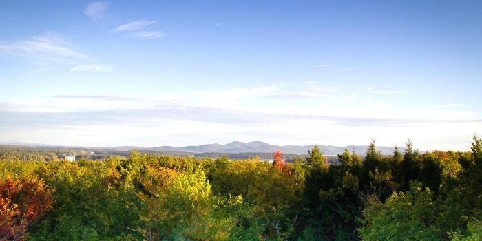 1600x1024 Mountains, Trees, Fall, Foliage, HD City Wallpapers, Places, Amazing