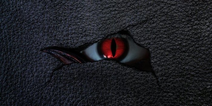 1024x768 Deadly Wallpapers