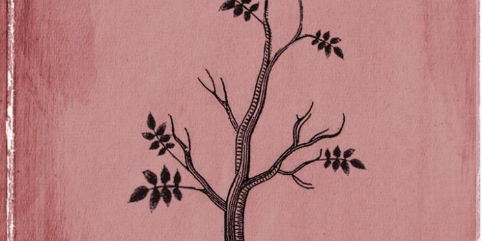 717x1150 Fan Works | Welcome to Greenvale