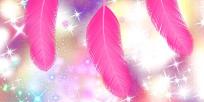 1180x2048 Colorful Dream Catcher Wallpaper (57+ images)