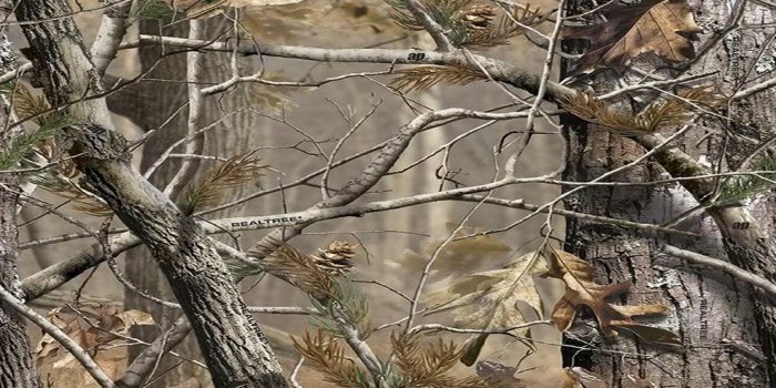 1656x998 Camo Desktop Wallpapers