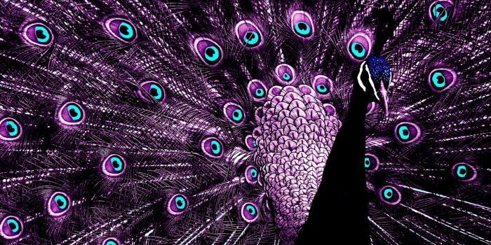 2285x1288 Purple HD Wallpapers