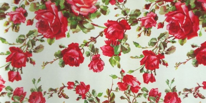 1024x768 Best 44+ Rose Background on HipWallpaper | Vintage Rose Wallpaper