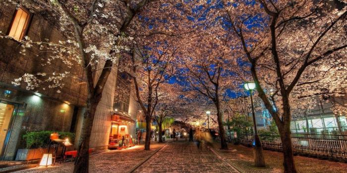 1920x1080 56+ Kyoto Wallpapers on WallpaperPlay